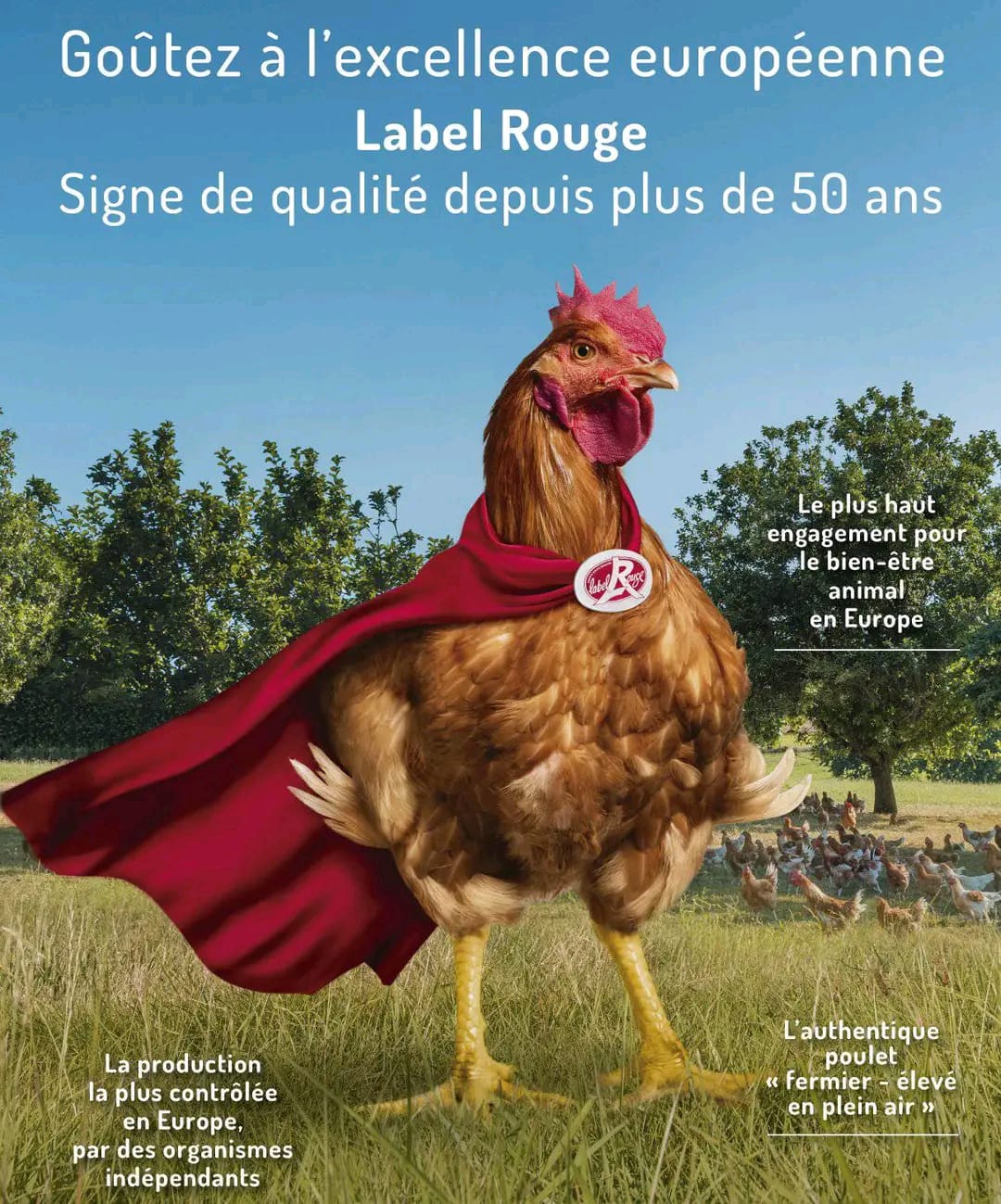 poulet-label-rouge